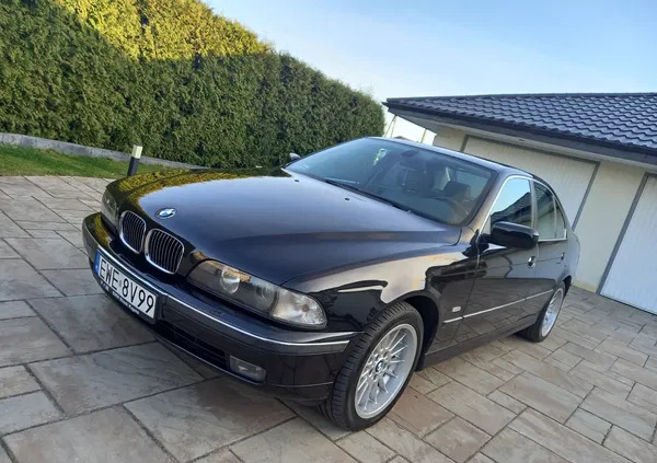 bmw seria 5 BMW Seria 5 cena 47000 przebieg: 224000, rok produkcji 1999 z Bolesławiec
